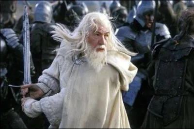 Les Champs du Pelennor sont :