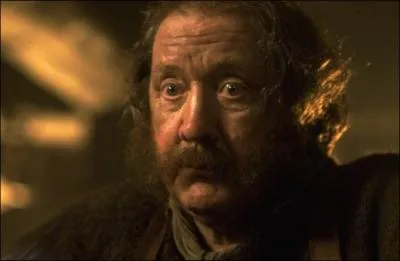 Quel est le nom de l'auberge o Frodon, Sam, Merry et Pippin trouvent refuge  Bree ?