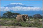 Dans quel pays se trouve le Kilimandjaro (5895m) ?