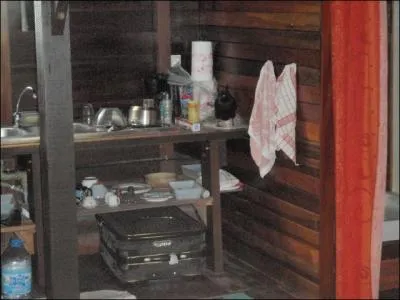 Quel animal voyez-vous sur la photo ?