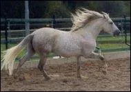 Et quelle est celle-ci ?