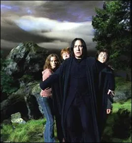 Durant la cinquime anne de Harry Potter, Rogue devient, un temps, son professeur particulier. Quelle matire lui enseigne-t-il ?