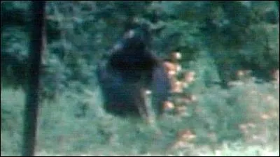 Au Kentucky, un homme aurait photographi un bigfoot dans son jardin !