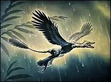 Au Nord-Est de la Chine, on a dcouvert les restes d'un oiseau dinosaure  quatre ailes !