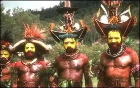 Les papous portent sur la tte des plumes de ...