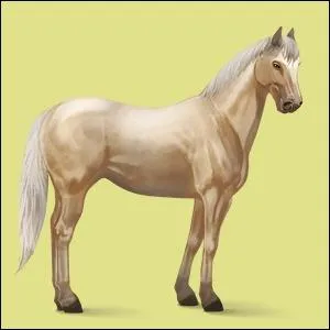 De quelle robe est ce cheval ?