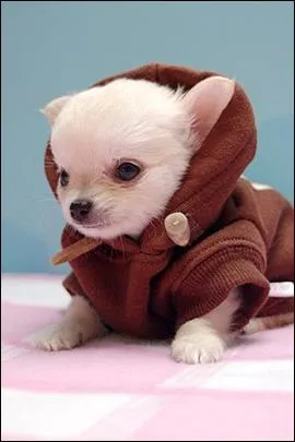 Que pensez-vous de ce bb ?