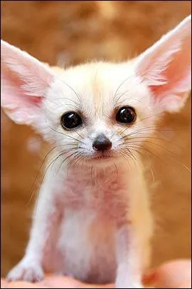 Pas de problme avec celui-ci !