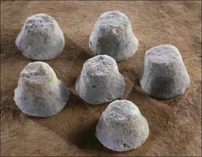 Le Bouton de Culotte.