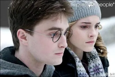 Dans quelle fort Harry et Hermione campent-ils aprs s'tre chapps de Godric' Hollow ?
