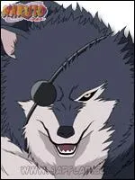 De quel pays est-il ?