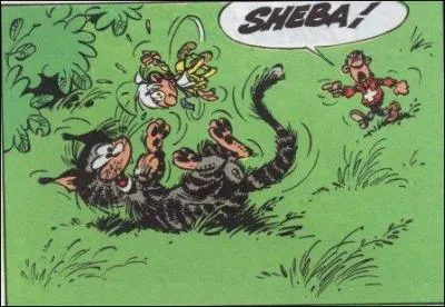 Dure la vie des petits hommes. Comment s'appelle le personnage principal de cette BD ?