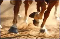 J'assure la scurit du sabot. Qui suis-je ?