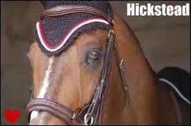 Je m'occupe d'un cheval en particulier et c'est souvent un cheval de comptition. Qui suis-je ?