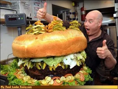 Qu'est-il arriv avec ce hamburger aprs sa parution dans le livre Guiness des records ?