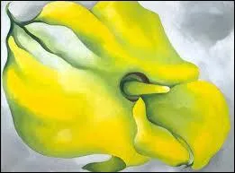 Un calla jaune, c'est le titre du tableau, peint par ?