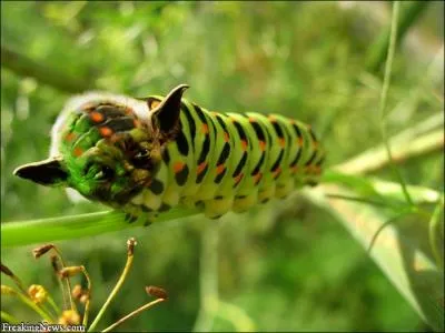 Dans mon cocon, je suis, en ...