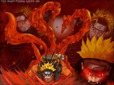 Dans quel manga trouve-t-on ces personnages ?