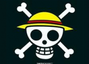 Quiz Les pavillon pirate de One Piece