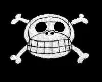 A qui appartient ce drapeau ?