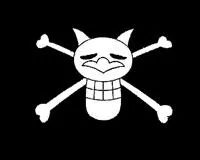 A qui appartient ce drapeau ?