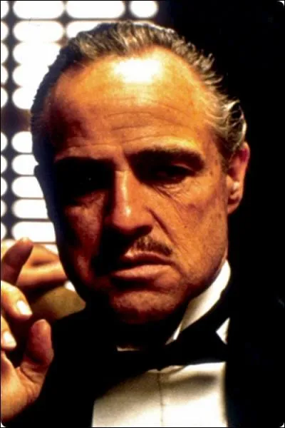 Marlon Brando a refus sa rcompense pour sa prestation dans Le Parrain, pour :