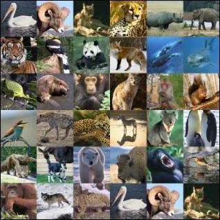 En moyenne, combien d'animaux sont en voie de disparition ?