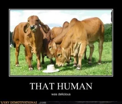 Il broute l'herbe d'un pays dont la capitale est Bangkok !