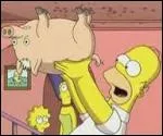 Homer a dbaptis Spider Cochon, le cochon qui marche au plafond, pour l'appeler comment ?