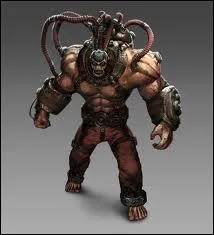 Quel produit Bane utilise-t-il ?