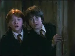 O Harry et Ron se rencontrent-ils ?