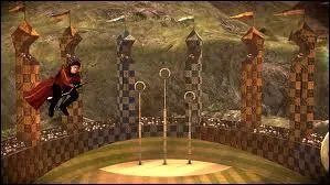 Qui arbitre le match entre Gryffondor et Poufsouffle