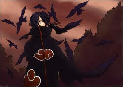Qu'est-ce qu'Itachi n'a jamais fait ?