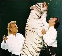 Deux magiciens allemands immenses show men, qui officiaient  Las Vegas, galement amateurs de tigres blancs, ce sont ?