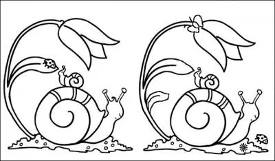 Combien il y a de diffrences ?