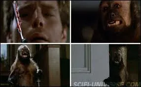 Quel est le titre original d' 'Incidents de Parcours', le film de George A. Romero ?