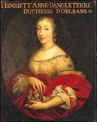 Belle-sur de Louis XIV et pouse du Duc d'Orlans, Henriette d'Angleterre meurt dans la nuit du 29 au 30 Juin 1670, victime d'une boisson glace. Quelle tait cette boisson ?