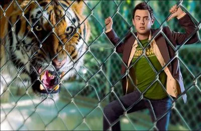 Durant les priodes glaciaires, une seule espce de flin a t appele tigre  dents de sabre !