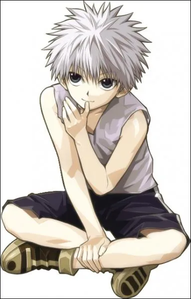 A quel niveau de la famille Zoaldyeck (plusieurs critures possibles) se situe Killua (Kirua) ?