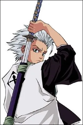 De quelle division, Hitsugaya Toushiro fait-il partie ? ( Question facile)