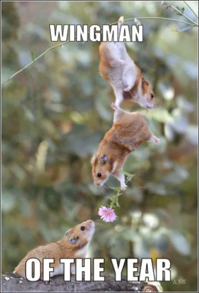 Que me r�pondez-vous si je vous dis qu'un de ces cobayes va tomber ?