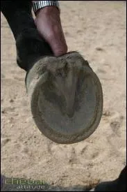 ' a ne se trouve pas sous les sabots d'un cheval. ' Certains emploient parfois cette expression en parlant