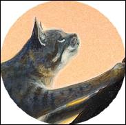 Un jour Nuage de Geai a une vision, son frre est en danger. Que lui arrive-t-il ?