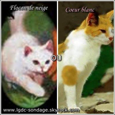 Pour quelle raison Flocon de Neige refuse-t-il de prononcer le nom de Sans Visage ?