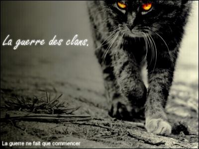 Il existe un endroit, autre que le Clan des Etoiles, o les chats mauvais vont quand ils meurent, quel est cet endroit ?