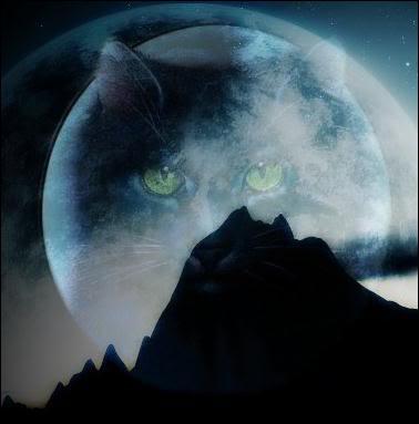 Pourquoi la tribu de l'Eau Vive a-t-elle confondu Jolie Plume avec Pelage d'Orage (comme le chat argent venu accomplir la prophtie) ?