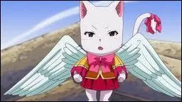 Quel est le nom de ce chat ?