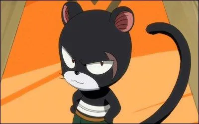 Quel est le nom de ce chat ?