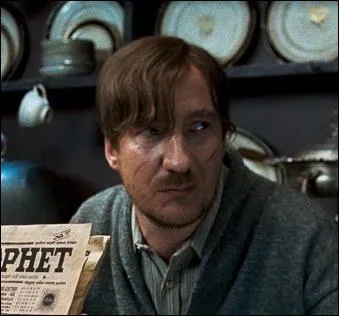 Dans Harry Potter et les Reliques de la Mort, durant le chapitre 'Les sept Potter', avec qui est-il sur le balai ?