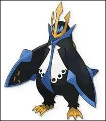 De quel type est ce Pokmon ?